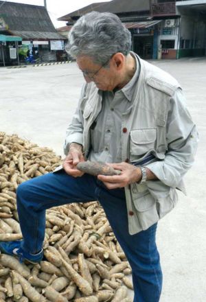 Tony researching cassava in vietnam